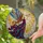 Graceful Female Angel Golden Trumpet Feathered Wings Auburn Hair - Home Decor Gift Stained Glass Suncatcher - 2