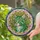 Feline Head Emerald Eye Botanical Mosaic - Home Decor Gift for Cat Lover Stained Glass Suncatcher - 2