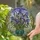 Iris Flowers Ornate Mosaic Pot Lush Leaves Stained Glass - Home Decor Gift Stained Glass Suncatcher - 2
