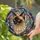 Siamese Cat Tiffany Glass Swirling Mosaic - Home Decor Gift for Cat Lover Stained Glass Suncatcher - 2