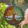 Tiffany Glass Gnarled Tree of Life Changing Seasons - Nature Home Decor Gift Stained Glass Suncatcher - 2