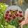 Monarch Butterfly Poppy Flowers Stained Glass Home Decor for Butterfly Lover Stained Glass Suncatcher - 2