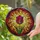 Tulip Flower Swirling Radiating - Everyday Home Decor Gift for Garden Lover Stained Glass Suncatcher - 2