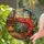 Large Shrimp Christmas Wreath Fireplace Scene - Festive Holiday Home Decor Gift Stained Glass Suncatcher - 2