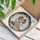 Cavalier King Charles Spaniel Puppy Teacup Dessert - Pet Lover Home Decor Gift Stained Glass Suncatcher - 3