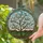 Blooming Magnolia Tree Green Leaves Rolling Hills Sky - Botanical Home Decor Gift Stained Glass Suncatcher - 2