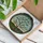 Blooming Magnolia Tree Green Leaves Rolling Hills Sky - Botanical Home Decor Gift Stained Glass Suncatcher - 3