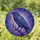 Blue Purple Raven Stained Glass Fractured Shapes - Home Decor Gift for Bird Lovers Stained Glass Suncatcher - 1