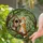 Ginger Tabby Kitten Resting Birdhouse Forest Scene Wildlife Lover Home Decor Gift Stained Glass Suncatcher - 2