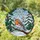 European Robin Holly Berries Winter Snowflake - Christmas Gift Wildlife Lover Stained Glass Suncatcher - 1