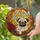 Pug Dog Rose Butterfly Floral - Window Display Home Decoration Gift for Pug Dog Owners Stained Glass Suncatcher - 2