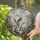 Tiffany White Cat Turquoise Eyes Swirling Floral Landscape Home Decor Gift for Cat Lover Stained Glass Suncatcher - 2