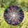 Iridescent Crystal Teardrop Prisms Stained Glass Starburst Mosaic - Home Decor Gift Stained Glass Suncatcher - 1