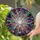 Iridescent Crystal Teardrop Prisms Stained Glass Starburst Mosaic - Home Decor Gift Stained Glass Suncatcher - 2