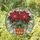 Poinsettia Plant Red Blooms Green Leaves Pot - Home Decor Gift for Plant Lover Stained Glass Suncatcher - 1