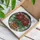 Poinsettia Plant Red Blooms Green Leaves Pot - Home Decor Gift for Plant Lover Stained Glass Suncatcher - 3