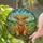 Baby Highland Cow Green Hills Floral - Farmhouse Home Decor Gift for Cow Lover Stained Glass Suncatcher - 2