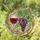 Red Wine Glass Deep Purple Grapes Green Tendrils Leaves - Kitchen Decor Gift for Wine Lover Stained Glass Suncatcher - 1