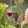 Red Wine Glass Deep Purple Grapes Green Tendrils Leaves - Kitchen Decor Gift for Wine Lover Stained Glass Suncatcher - 2