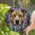 Pitbull Dog Stained Glass Portrait Golden Eyes Jewel Tone Home Decor Gift Stained Glass Suncatcher - 2