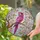 Magenta Parrot Cherry Blossom Stained Glass - Home Decor Gift for Bird Lovers Stained Glass Suncatcher - 2