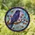 Dark Raven Gnarled Branch Autumn Leaves Dreamcatcher - Home Decor Gift for Bird Lovers Stained Glass Suncatcher - 1
