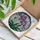 Phalaenopsis Orchid Blooms Home Decor Gift for Orchid Lover Stained Glass Suncatcher - 3