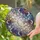 Crescent Moon Celestial Tapestry Shimmering Stardust - Home Decor Gift for Moon Lover Stained Glass Suncatcher - 2
