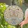 Shimmering Bow Butterfly Golden Filigree Crystal Teardrop Home Decor Gift Stained Glass Suncatcher - 2