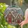 Gingerbread Houses Holly Candy Canes Winter Snowflakes - Christmas Home Decor Gift Stained Glass Suncatcher - 2