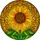Edge-to-Edge Sunflower Mosaic with Seed Head Tiffany Glass - Home Decor Gift for Plant Lovers Stained Glass Suncatcher - 5