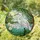 Great White Egret Dandelion Moon - Home Decor Wildlife Gift Stained Glass Suncatcher - 1