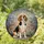 Beagle Dog Foliage Sky - Housewarming Home Decor Gift for Dog Lovers & Beagle Owners Stained Glass Suncatcher - 1