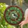Red-headed Woodpecker Stained Glass - Home Decor Gift for Bird Watchers Stained Glass Suncatcher - 2