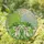 Hydrangea Bloom Leaf Bow Pearl Bud Forest Canopy Cloud - Home Decor Gift Stained Glass Suncatcher - 1