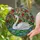 White Swan Blooming Garden Pond Lily Pads Flowers - Home Decor Gift for Wildlife Lover Stained Glass Suncatcher - 2