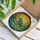 Red Eye Frog Lily Pad Water Landscape - Wildlife Lover Home Decor Gift Stained Glass Suncatcher - 3