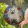 Ragdoll Cat Piercing Eyes Blooming Flowers Lush Leaves - Home Decor Gift Cat Lover Stained Glass Suncatcher - 2
