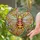 Stained Glass Jewel Tone Smiling Bee Floral Mosaic - Nature Lover Gift for Garden Enthusiast Stained Glass Suncatcher - 2