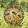 Three Bees Daisy Honeycomb Floral Vines - Wildlife Lover Home Decor Gift for Garden Bee Lover Stained Glass Suncatcher - 1