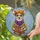 Spectacled Small Dog Newsboy Cap Reading Book Autumn Leaves - Home Decor Gift for Dog Lover Stained Glass Suncatcher - 2