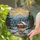 Rustic Log Cabin Snow Forest Stream Mountain Sunset Home Decor Gift Stained Glass Suncatcher - 2