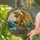 Majestic Dragon Reading Book Stone Outcrop Misty Mountains - Fantasy Book Lover Decor Stained Glass Suncatcher - 2