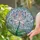Blooming Lotus Flower Aquatic Pond Surface Light Motifs - Tranquil Home Decor Gift Stained Glass Suncatcher - 2