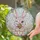 Winking Bunny Rainbow Lollipop Sky Clouds Foliage - Home Decor Gift for Bunny Lover Stained Glass Suncatcher - 2