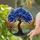 Twisted Gnarled Tree River Rolling Hills Landscape - Nature Lover Home Decor Gift Stained Glass Suncatcher - 2