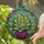 Succulent Rosette Floral High Contrast Tiffany Stained Glass Home Decor Gift Stained Glass Suncatcher - 2
