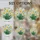 Vibrant Blooming Daffodil Bouquet Creamy White Petals Yellow Orange Coronas Window Decor Gift Stained Glass Suncatcher - 4