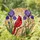 Red Cardinal Bird Purple Iris Flowers Sunny Day Mosaic - Home Decor Wildlife Gift Stained Glass Suncatcher - 1
