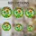 Sunflower Plant Pot Pink Flowers Scalloped Wreath Sky - Plant Lover Gift Stained Glass Suncatcher - 4